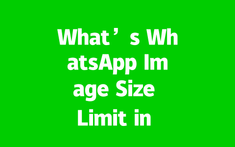 What’s WhatsApp Image Size Limit in 2025? 2 b4f47e6f52a30e1c1ab0eb2db313af9f